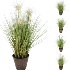 Homestyle Sprietplant In Pot - Kunstplanten - 60 cm 4 Assorti