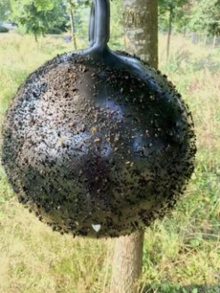 Horse Fly Trap Ball - Anti insect - Ø45 cm Zwart