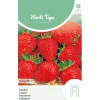 Hortitops Aardbei Grandian F1 - Groentezaden - 20 stuks