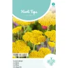 Hortitops Achillea - Duizendblad Cloth Of Gold - Bloemenzaden - 250 mg