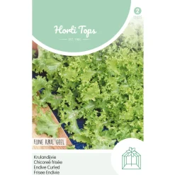 Hortitops Andijvie Altijd Witte - Groentezaden - 3 g