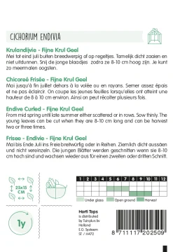 Hortitops Andijvie Altijd Witte - Groentezaden - 3 g