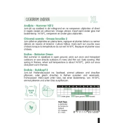 Hortitops Andijvie Nummer Vijf 2 - Groentezaden - 3 g