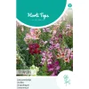 Hortitops Antirrhinum - Leeuwenbekje Tetraploide Gemengd - Bloemenzaden - 500 mg