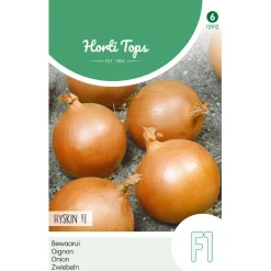 Hortitops Bewaarui Hyskin F1 - Groentezaden - 600 stuks