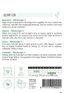 Hortitops Bewaarui Rijnsburger 5 - Groentezaden - 4 g