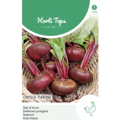 Hortitops Bieten Egyptische Platronde - Groentezaden - 5 g