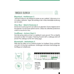 Hortitops Bloemkool Herfstreuzen 2 - Groentezaden - 1 g