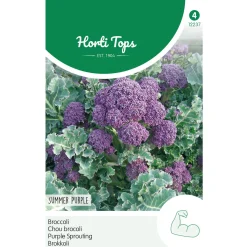 Hortitops Broccoli Summer Purple - Groentezaden - 250 mg