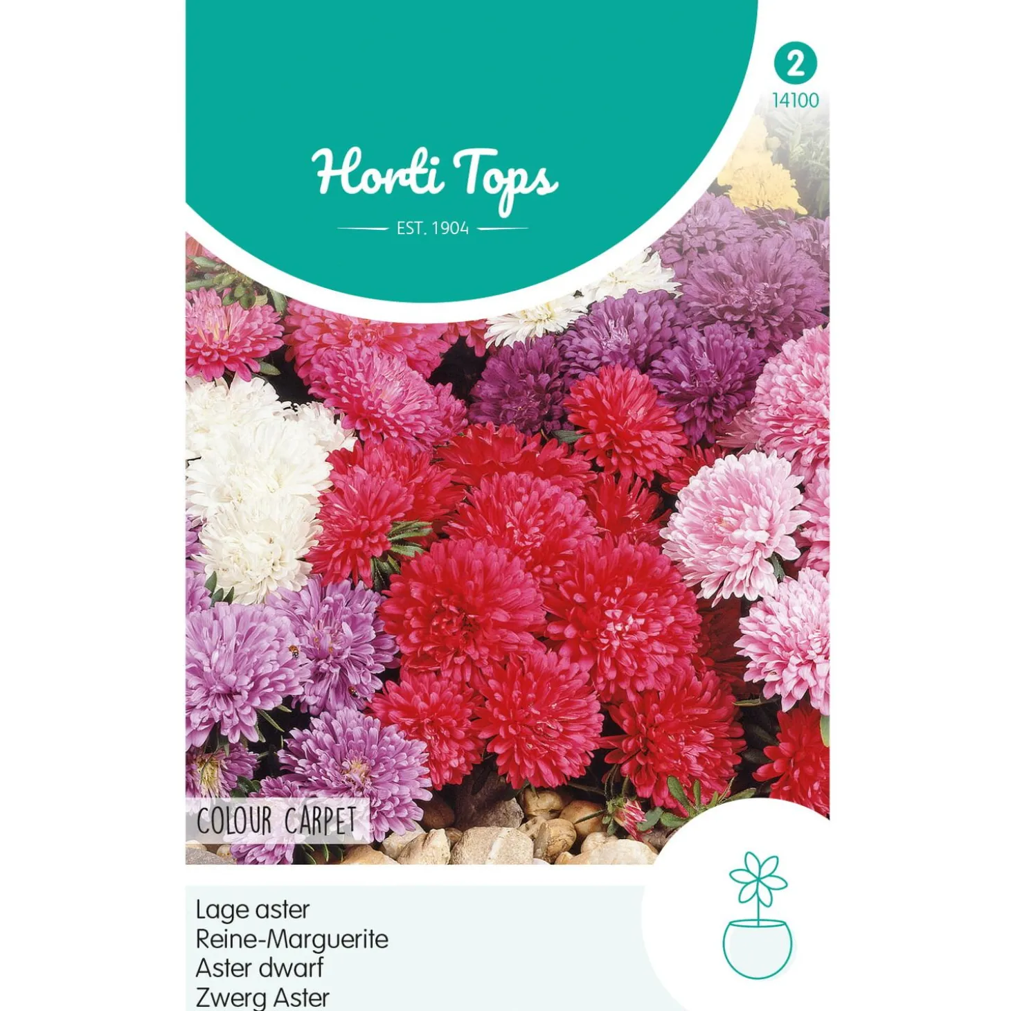 Hortitops Callistephus - Dwerg-Aster Colour Carpet Gemengd - Bloemenzaden - 500 mg
