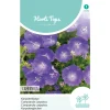 Hortitops Campanula - Karpatenklokje Blauw - Bloemenzaden - 250 mg