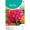 Hortitops Celosia - Hanenkam Gemengd - Bloemenzaden - 500 mg