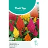 Hortitops Celosia - Pluimhanenkam (Plumosa) Gemengd - Bloemenzaden - 500 mg