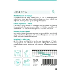 Hortitops Celosia - Pluimhanenkam (Plumosa) Gemengd - Bloemenzaden - 500 mg