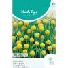 Hortitops Cephalophora - Ananasbloem Pineapples - Bloemenzaden - 100 mg