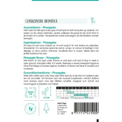 Hortitops Cephalophora - Ananasbloem Pineapples - Bloemenzaden - 100 mg