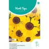 Hortitops Chrysanthemum - Ganzebloem Eldorado Geel - Bloemenzaden - 1 g