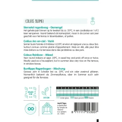 Hortitops Coleus - Siernetel Regenboogmengsel - Bloemenzaden - 200 mg
