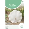 Hortitops Courgette Custard White - Groentezaden - 1 g