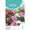 Hortitops Dianthus - Duizendschoon Laag Gemengd - Bloemenzaden - 500 mg