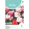 Hortitops Dianthus - Grasanjer Spring Beauty - Bloemenzaden - 400 mg