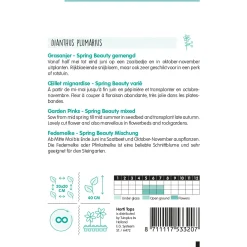 Hortitops Dianthus - Grasanjer Spring Beauty - Bloemenzaden - 400 mg