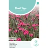 Hortitops Dianthus - Steenanjer Karmijnrose - Bloemenzaden - 250 mg