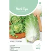 Hortitops Groenlof Vroege Zelfsluitende - Groentezaden - 3 g