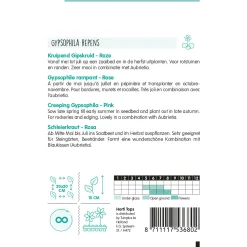 Hortitops Gypsophila - Kruipend Gipskruid Rose - Bloemenzaden - 250 mg