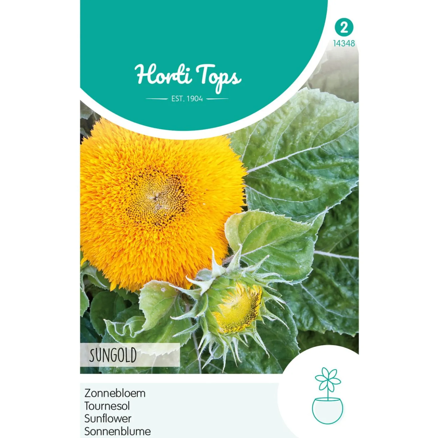 Hortitops Helianthus - Zonnebloem Sungold Dubbelbloemig Laag - Bloemenzaden - 2 g