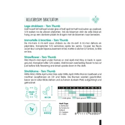 Hortitops Helichrysum - Lage Strobloem Tom Thumb - Bloemenzaden - 750 mg