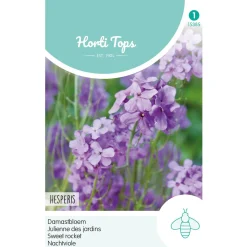 Hortitops Hesperis - Damastbloem Violet - Bloemenzaden - 1 g
