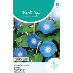 Hortitops Ipomoea - Klimmende Winde Clark's Blue - Bloemenzaden - 2 g