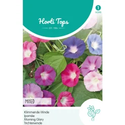Hortitops Ipomoea - Klimmende Winde Gemengd - Bloemenzaden - 2 g