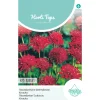 Hortitops Knautia - Macedonische Beemdkroon Red Knight - Bloemenzaden - 250 mg