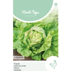 Hortitops Kropsla Meikoningin - Groentezaden - 3 g