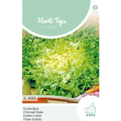 Hortitops Krulandijvie De Meaux - Groentezaden - 3 g