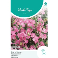 Hortitops Lathyrus - Reuk- Of Siererwt Royal Family Roze - Bloemenzaden - 4 g
