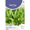 Hortitops Lavas (Maggiplant) - Kruidenzaden - 1.5 g