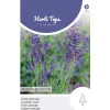Hortitops Lavendel - Kruidenzaden - 750 mg