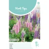 Hortitops Lupinus - Lupine Russell's Hybrids Gemengd - Bloemenzaden - 2 g