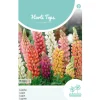 Hortitops Lupinus - Lupine Minarette Gemengd - Bloemenzaden - 1.5 g