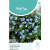 Hortitops Myosotis - Vergeet-Me-Nietje Blue Ball - Bloemenzaden - 300 mg
