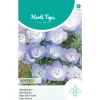 Hortitops Nemophila - Haagbloem Hemelsblauw - Bloemenzaden - 1 g
