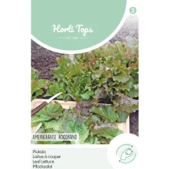 Hortitops Pluksla Amerikaanse Roodrand - Groentezaden - 10 g