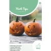 Hortitops Pompoen Jack O'Lantern (Cucurbita Pepo) - Groentezaden - 2 g