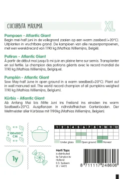 Hortitops Pompoenen Atlantic Giant - Groentezaden - 2.5 g