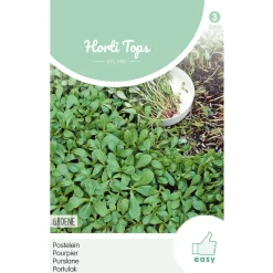 Hortitops Postelein Groene - Groentezaden - 10 g