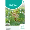 Hortitops Ricinus - Wonderboom - Bloemenzaden - 5 g