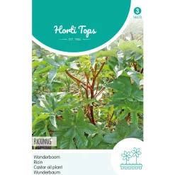 Hortitops Ricinus - Wonderboom - Bloemenzaden - 5 g